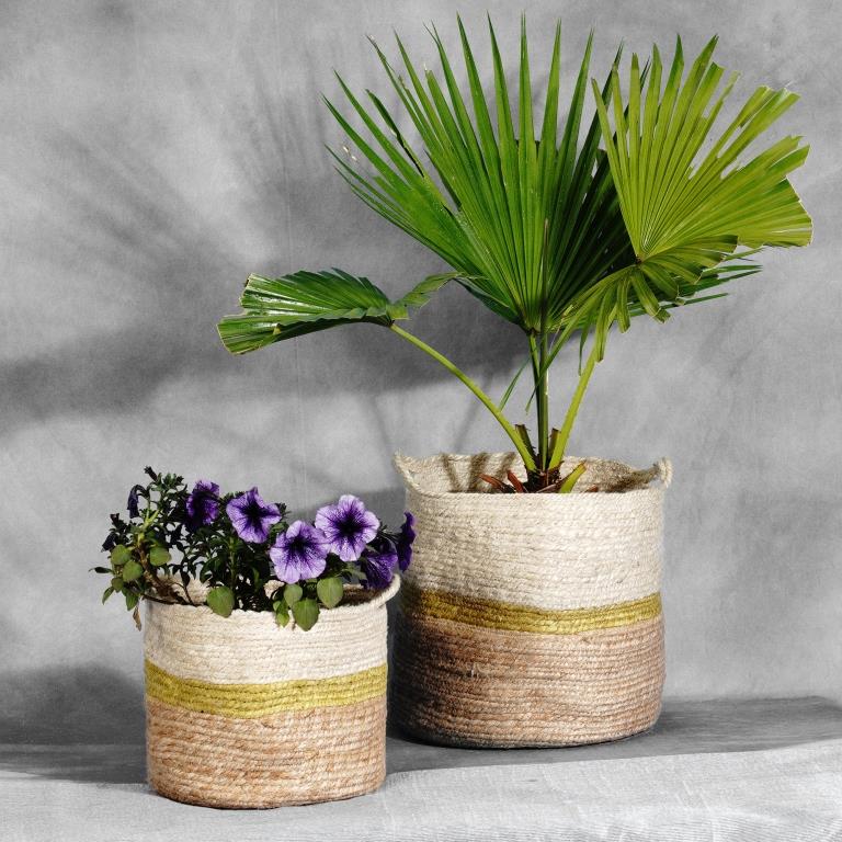 eco friendly planter