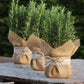 jute planter